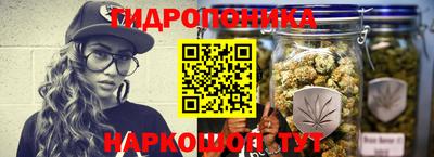 PSILOCYBIN Кунгур