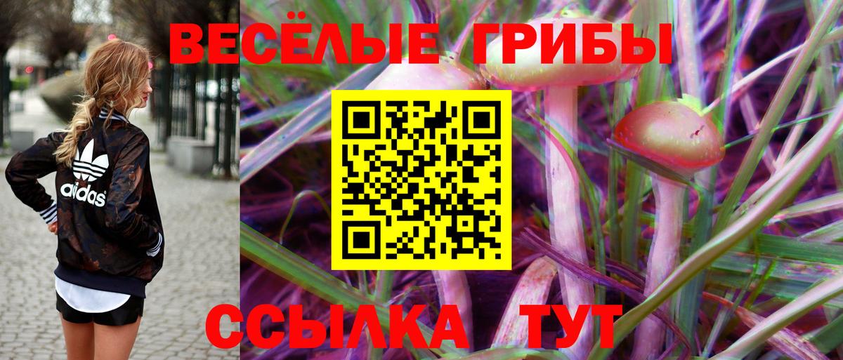 Златоуст  Псилоцибиновые грибы Magic Shrooms  Вход с VPN 