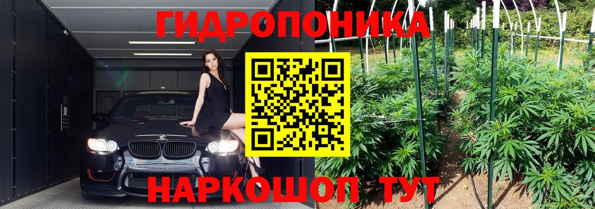 Марихуана Bruce Banner  Вход с VPN  Конопля план  Бошки Шишки семена  Каннабис VHQ  Златоуст 